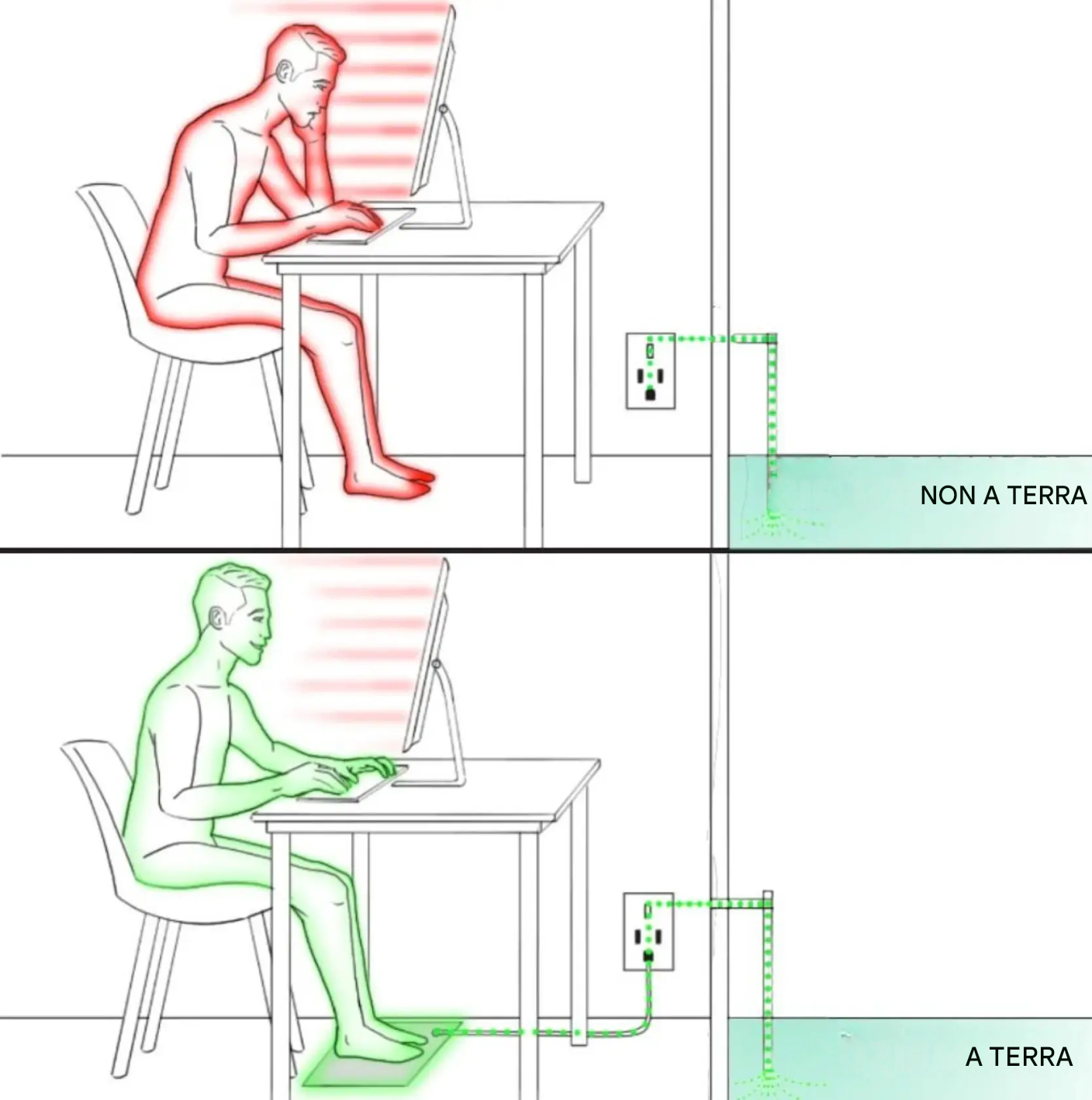 Tappetino BioGround 4